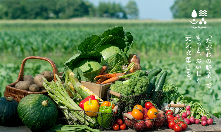 「たがわの野菜」で、もっと、おいしく元気な毎日を。